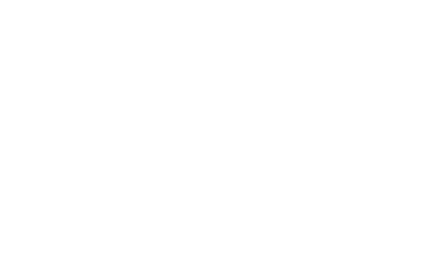 El Dondina e il tremendo sig. Berni, titolo